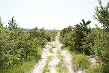 DSC01539