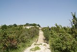 DSC01541