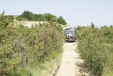 DSC01544