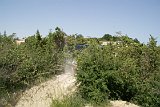 DSC01551