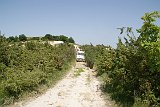 DSC01554