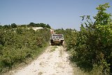 DSC01555