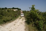 DSC01557