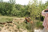 DSC01615